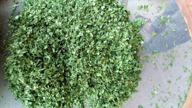 Dried Parsley – 10Ton